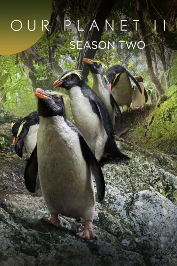 Poster for the TV series "Our Planet" #1750276