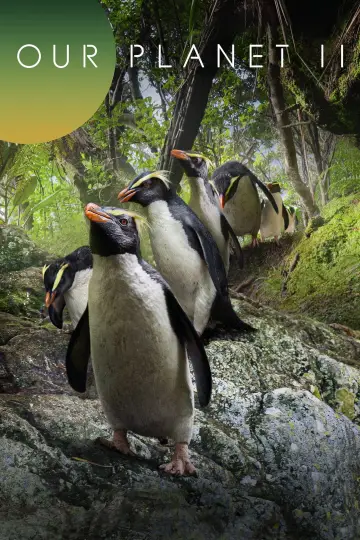 Poster for the TV series "Our Planet" #1750279