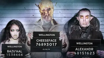 Backdrop for the TV series "Wellington Paranormal" #1599481