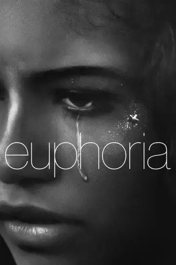 Poster for the TV series "Euphoria" #1255135
