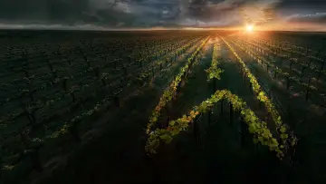 Backdrop к сериалу "Star Trek: Picard" #1319332