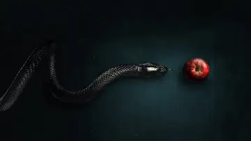 Backdrop к сериалу "Evil" #1321498