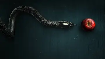 Backdrop к сериалу "Evil" #1321517