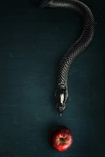 Poster к сериалу "Evil" #1321580