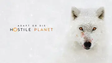 Backdrop for the TV series "Hostile Planet" #1868174