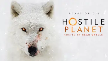 Backdrop for the TV series "Hostile Planet" #1868183