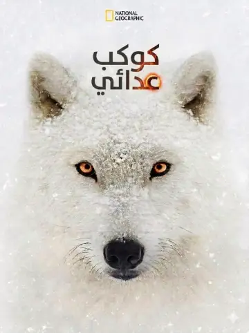 Poster for the TV series "Hostile Planet" #1868197