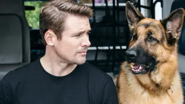 Backdrop к сериалу "Hudson & Rex" #1299480
