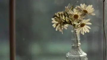 Backdrop к сериалу "Looking for Alaska" #1459661