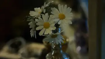 Backdrop к сериалу "Looking for Alaska" #1459668