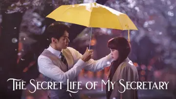 Backdrop for the TV series "The Secret Life of My Secretary" #1820740