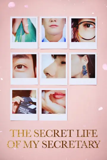 Poster for the TV series "The Secret Life of My Secretary" #1820750