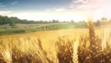 Backdrop for the TV series "Vinland Saga" #1454763