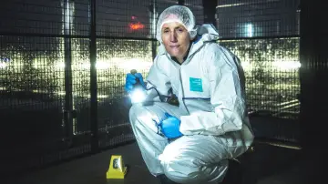 Backdrop for the TV series "Forensics: The Real CSI" #1555912