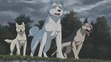 Backdrop for the TV series "Silver Fang Legend Weed" #1453345