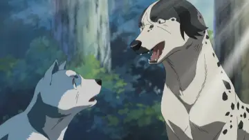 Backdrop for the TV series "Silver Fang Legend Weed" #1453347