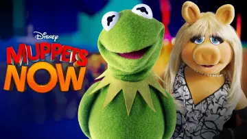 Backdrop for the TV series "Muppets Now" #1856978