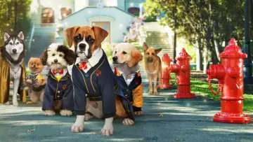 Backdrop for the TV series "Pup Academy" #1447053