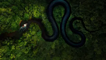 Backdrop к сериалу "The Mosquito Coast" #1376329