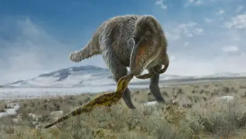 Backdrop к сериалу "Prehistoric Planet" #1366889