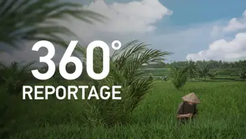 Backdrop for the TV series "360° Reportage" #1363194