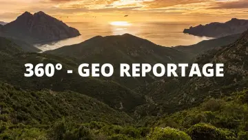 Backdrop for the TV series "360° Reportage" #1363195