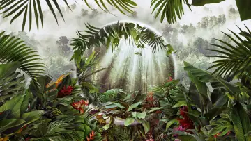 Backdrop for the TV series "The Green Planet" #1602812