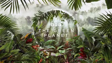 Backdrop for the TV series "The Green Planet" #1602817