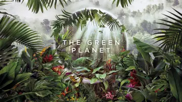 Backdrop for the TV series "The Green Planet" #1602822