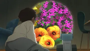 Backdrop for the TV series "Pokémon: Twilight Wings" #1680663
