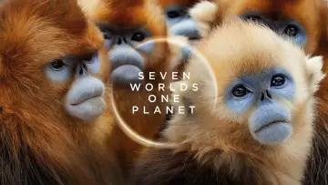 Backdrop for the TV series "Seven Worlds, One Planet" #1835161