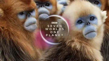 Backdrop for the TV series "Seven Worlds, One Planet" #1835163