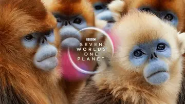 Backdrop for the TV series "Seven Worlds, One Planet" #1835167