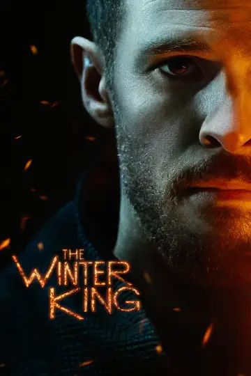 Poster for the TV series "The Winter King" #1559264