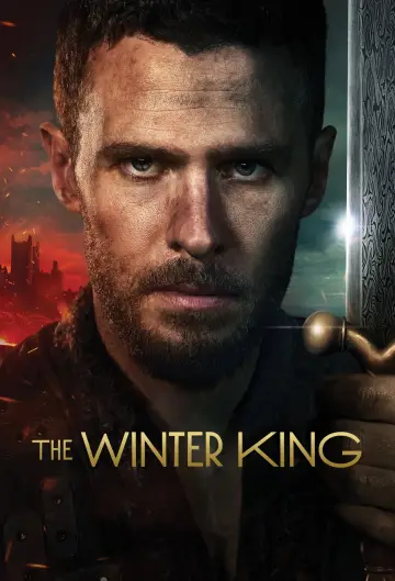 Poster for the TV series "The Winter King" #1559265