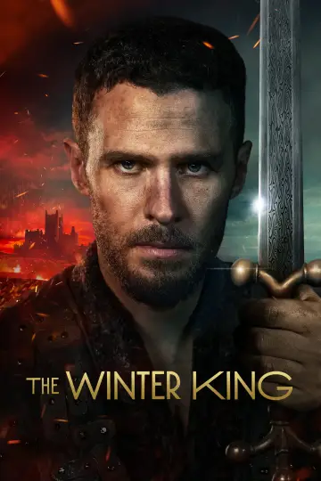 Poster for the TV series "The Winter King" #1559272