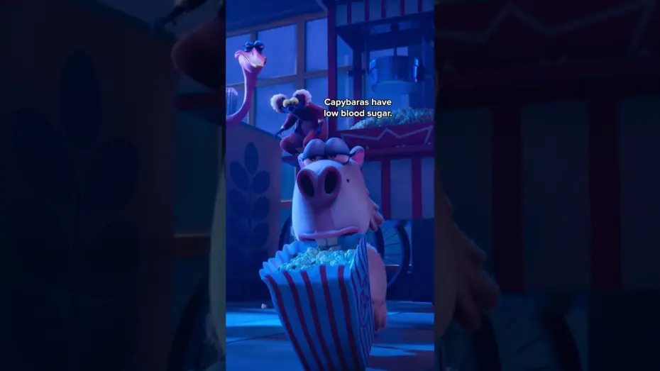 Watch film Night of the Zoopocalypse | Capybara Meme