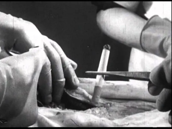 Watch film The Movie Orgy | TFH Exclusive: A Clip from THE MOVIE ORGY