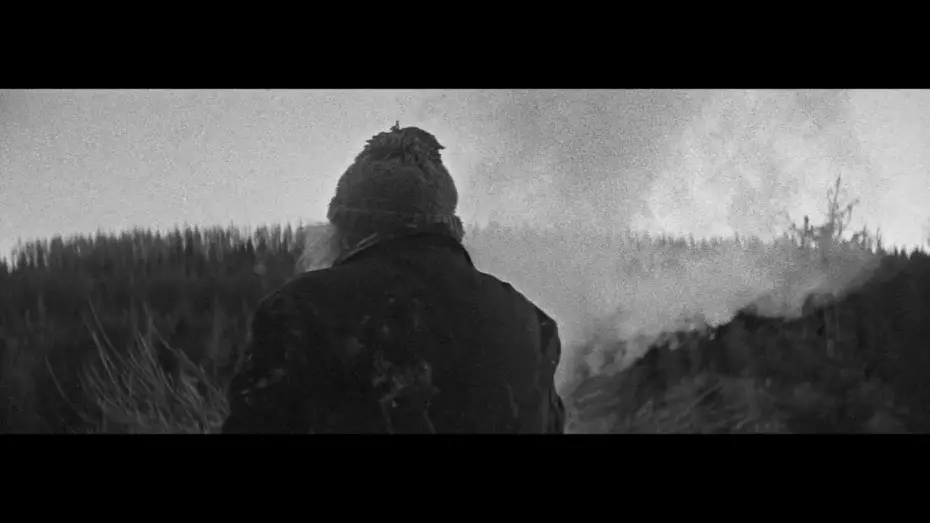 Watch film Bogancloch | Bogancloch by Ben Rivers, Locarno Trailer