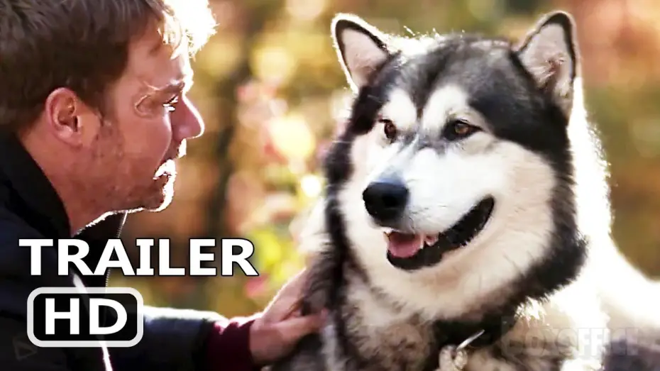 Watch film Hero Dog: The Journey Home | HERO DOG THE JOURNEY HOME Trailer (2021) Adventure Movie