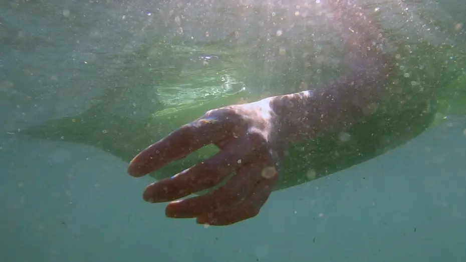 Watch film Depredadores sobre el mar | 🩸 DEPREDADORES SOBRE EL MAR 🌊 | Cortometraje de terror y fant&aacute;stico (2025)