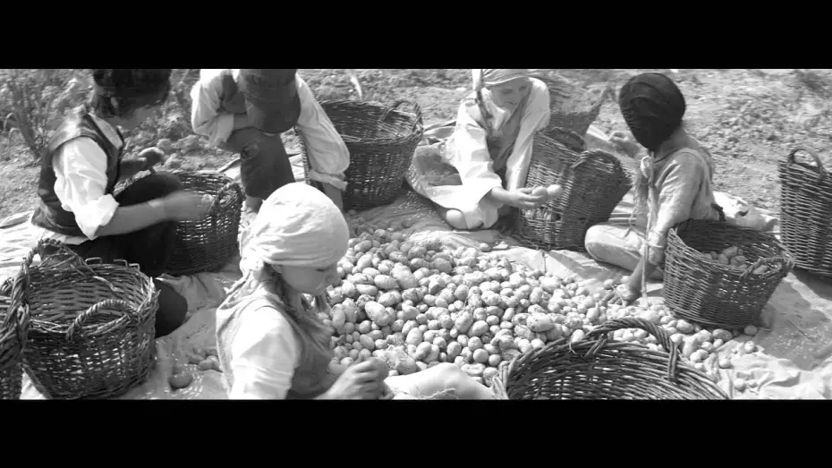 Watch film Home from Home &ndash; Chronicle of a Vision | DIE ANDERE HEIMAT - Trailer #2