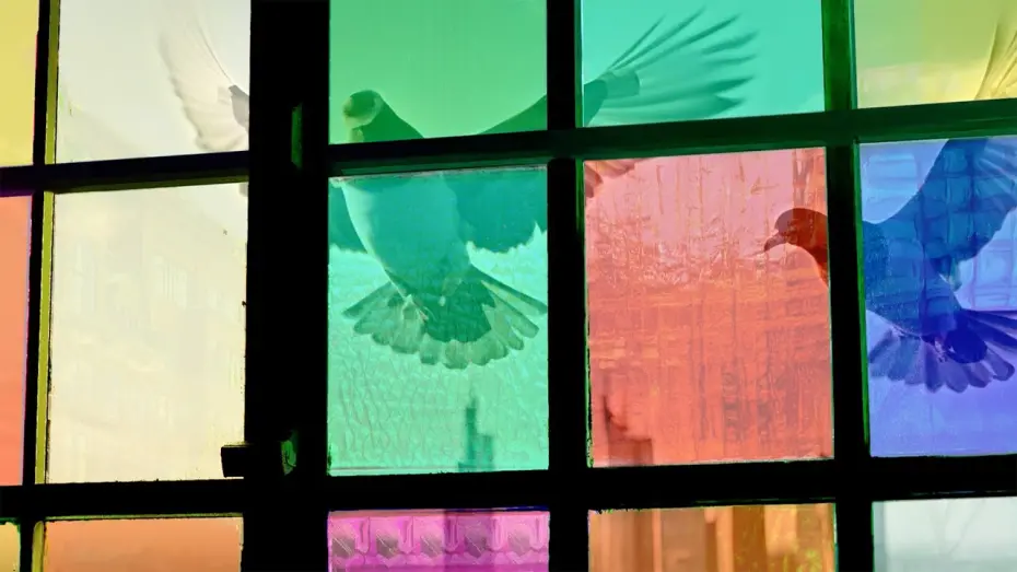 Watch film Gerhard | Gerhard - trailer | IFFR 2025