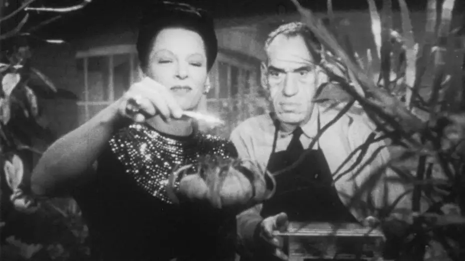 Watch film The Spider Woman Strikes Back | The Spider Woman Strikes Back (1946) Original Trailer