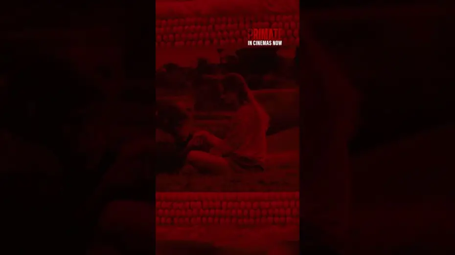 Watch film Primate | Nightmares