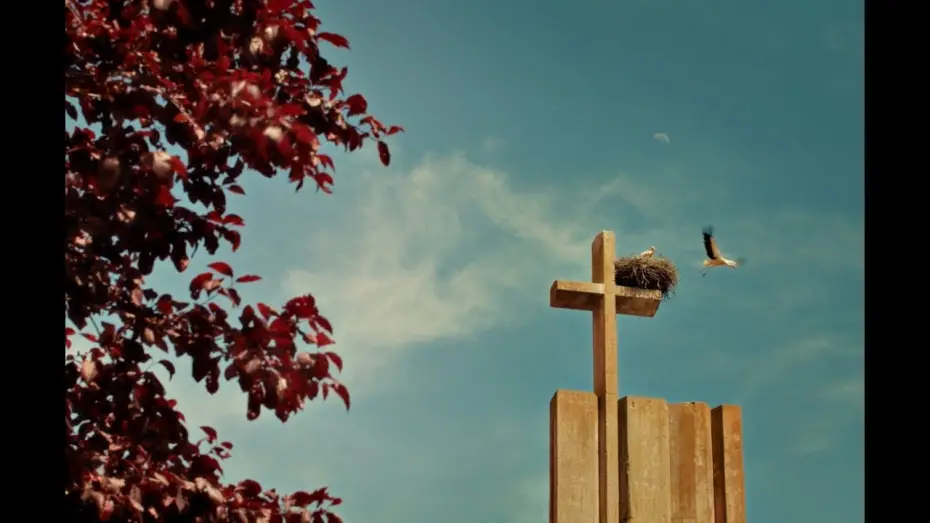 Watch film Los Cangrejos | EXCLUSIVA: tr&aacute;iler de LOS CANGREJOS, de Rub&eacute;n Seca, estreno mundial en SEMINCI 2025