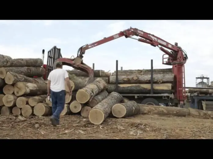 Watch film Grit and Grain: The Story of Bourbon County Stout | Grit and Grain: The Story of Bourbon County Stout