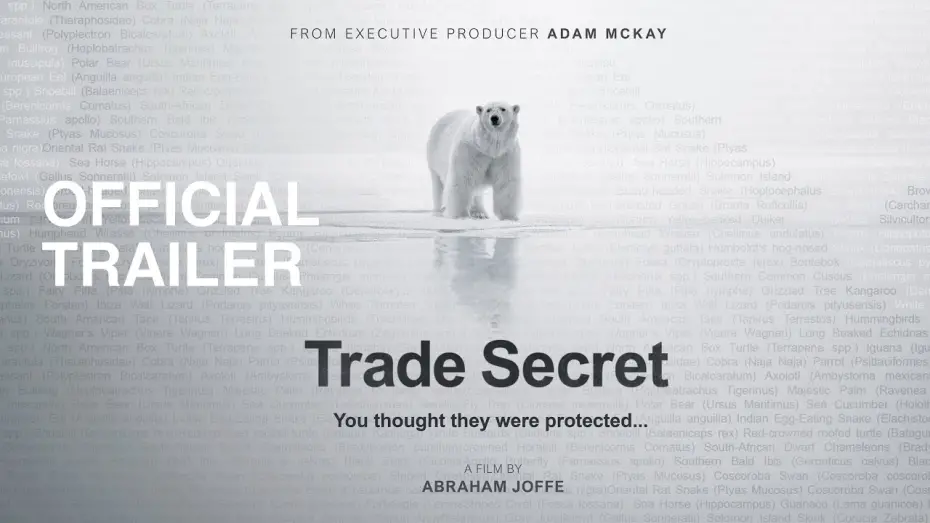 Watch film Trade Secret | Trade Secret | OFFICIAL TRAILER