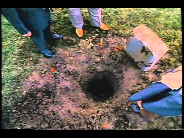Watch movie trailer