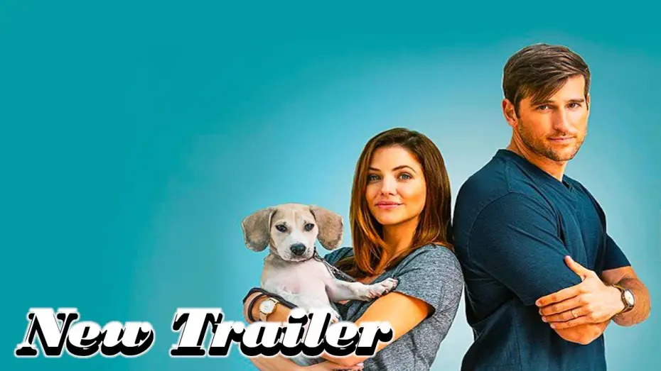 Watch film How to Train Your Husband | Как воспитать мужа — Русский трейлер (2020)